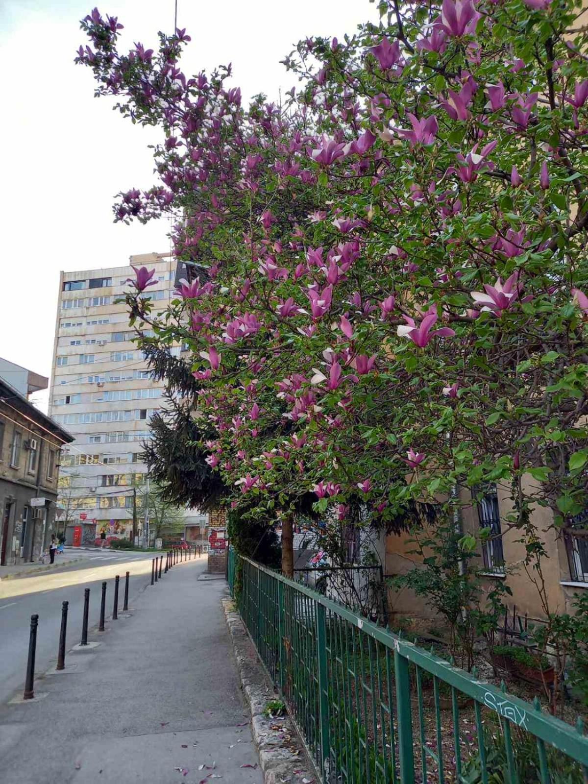 Hansa Apartment Сараєво Екстер'єр фото